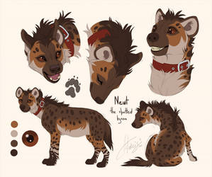 Newt reference sheet