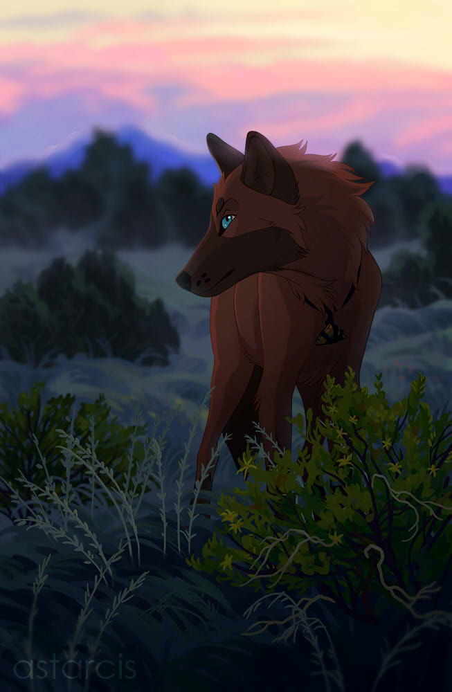 Commission: Blue Wolf by Astarcis on DeviantArt