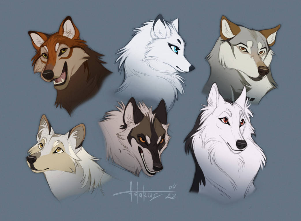 Wolf portraits by Astarcis on DeviantArt