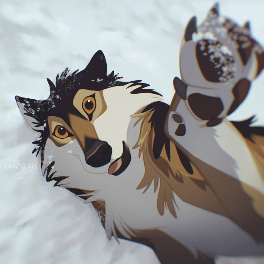 Boop the snoot by Astarcis on DeviantArt