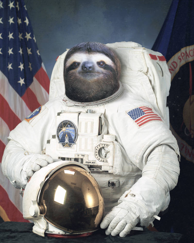 Astronaut sloth by HadesDeadlyTom on DeviantArt
