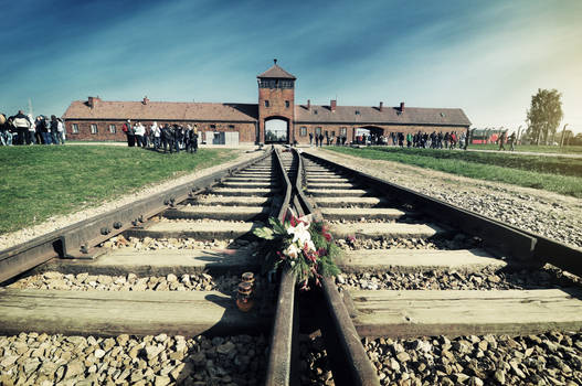 Auschwitz 2010 - 8