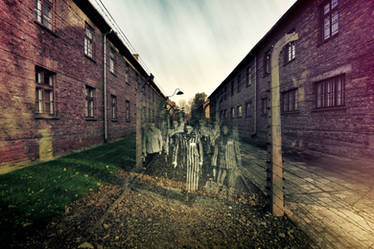 Auschwitz 2010 - 13