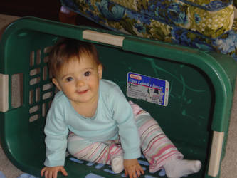 in the laundry basket...