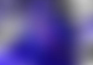 Rarity - Classic Berry Horse