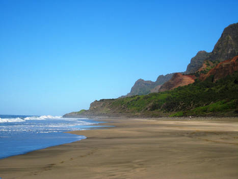 Brown Beach