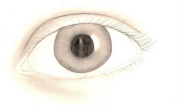 Eye