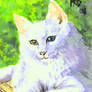 ACEO Norwegian Forest Cat