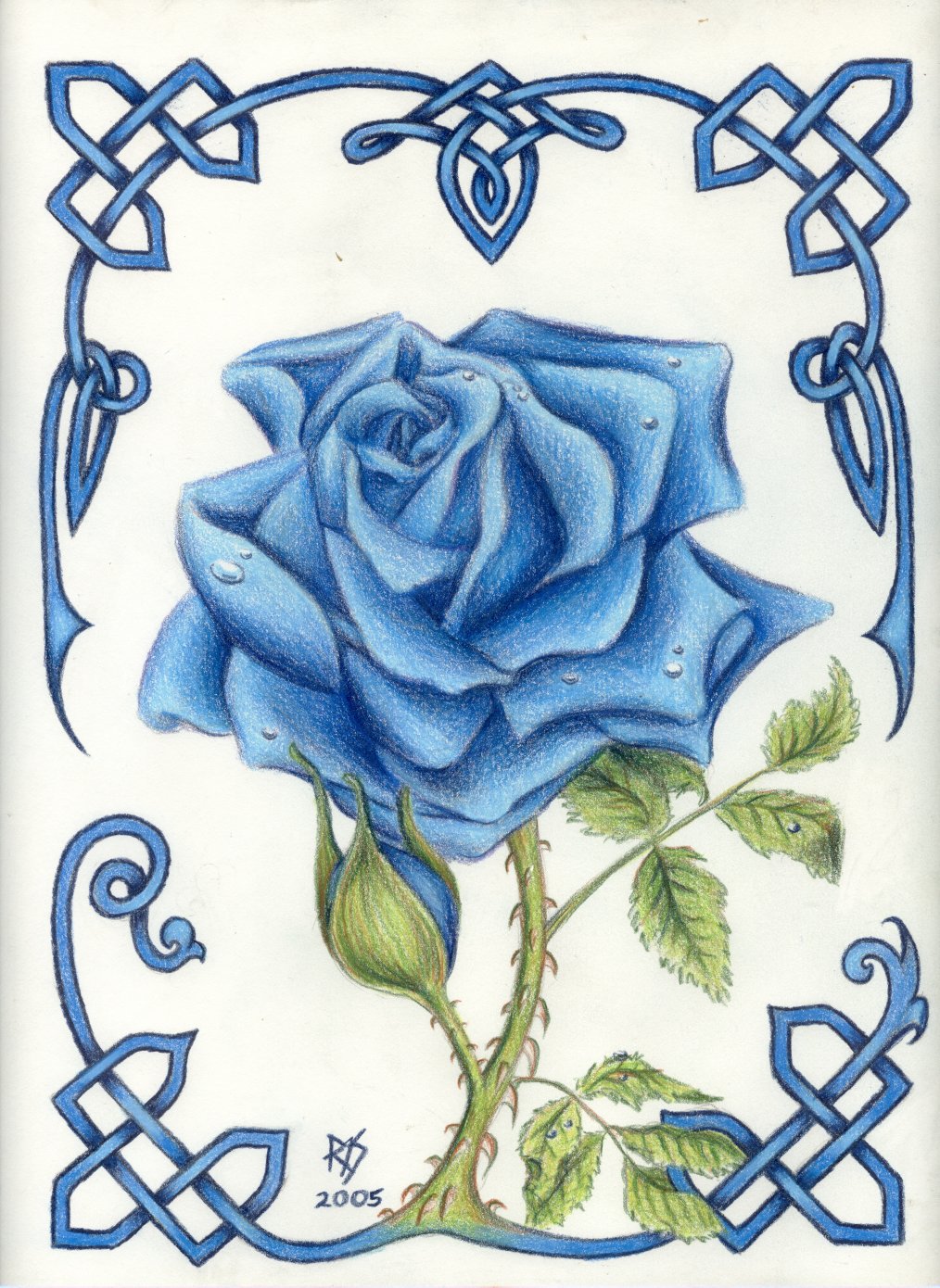 blue roses drawings