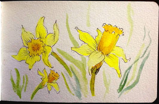 Jonquils