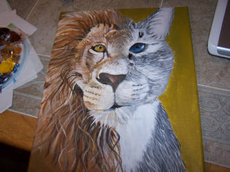 Lion and Cat TransformationWIP