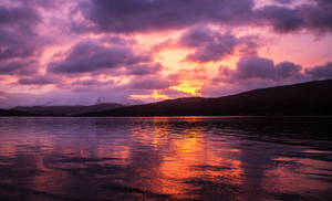 Blooming pink sunrise Locheil