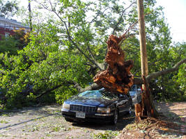 Hurricane Irene Damage
