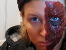 Two-Face WIP