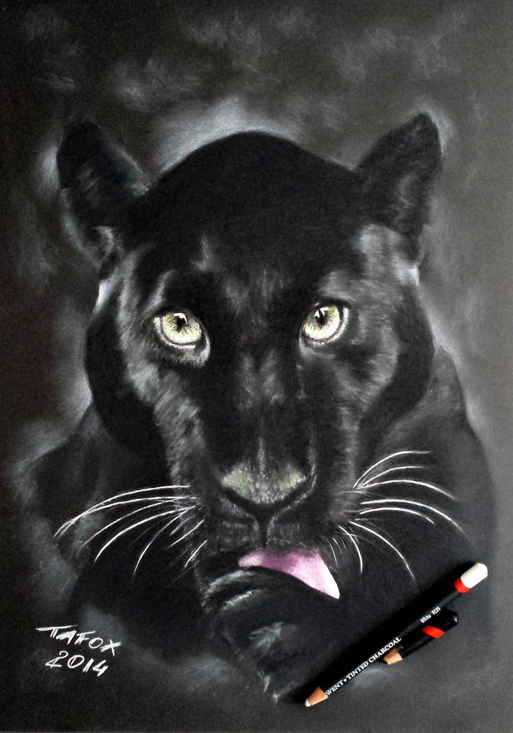 Black Panther pencil drawing by TAFOXART on DeviantArt
