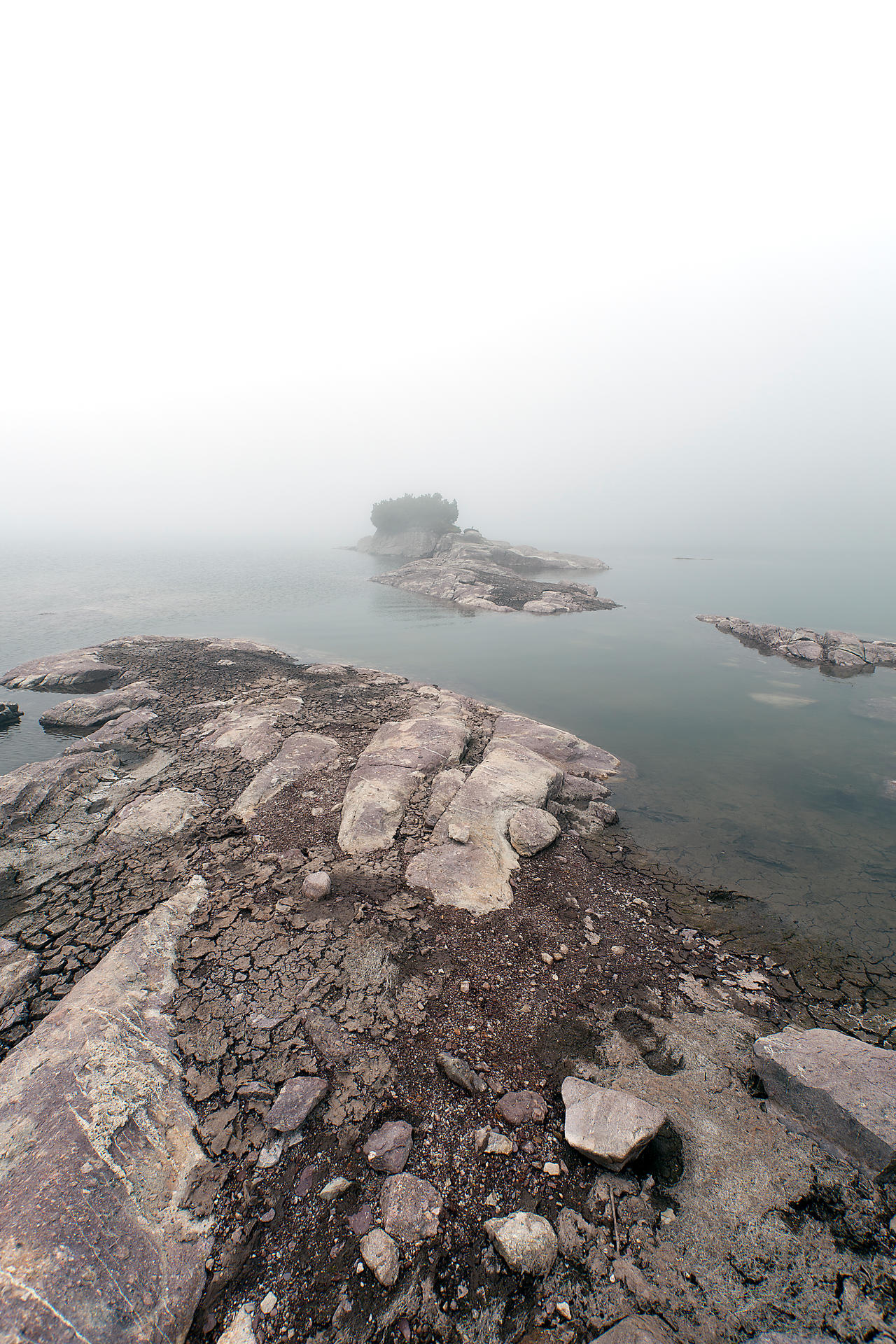 Fog over the Lake