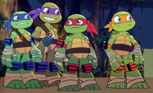 TMNT Half Shell Heroes