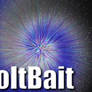 BoltBait