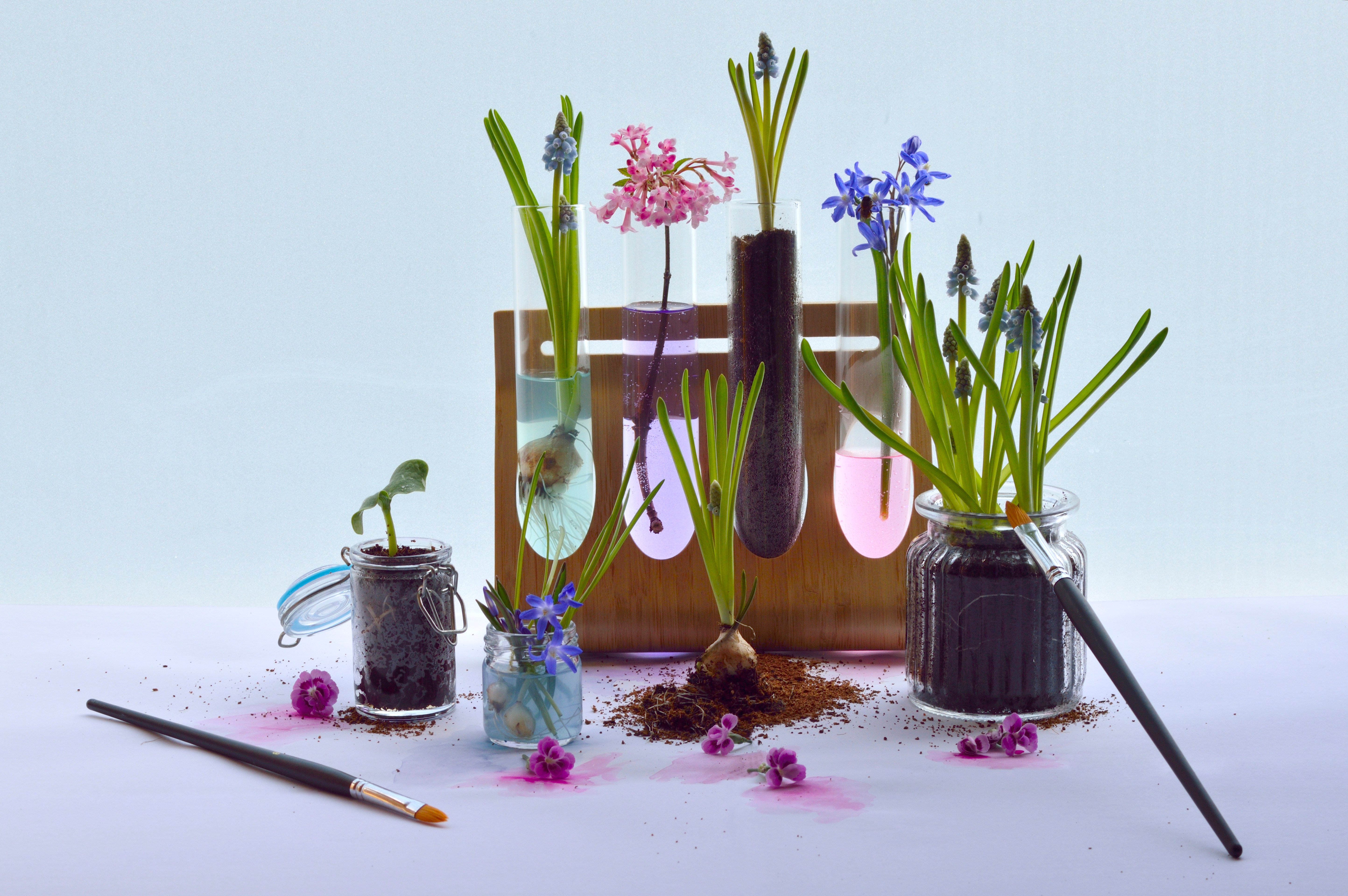 spring painting