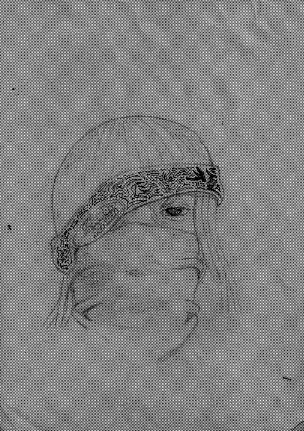 Shado raven by NWShadowRaven on DeviantArt