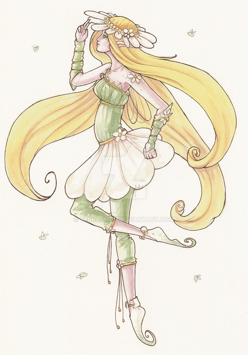 Flowers - Daisy - Colour