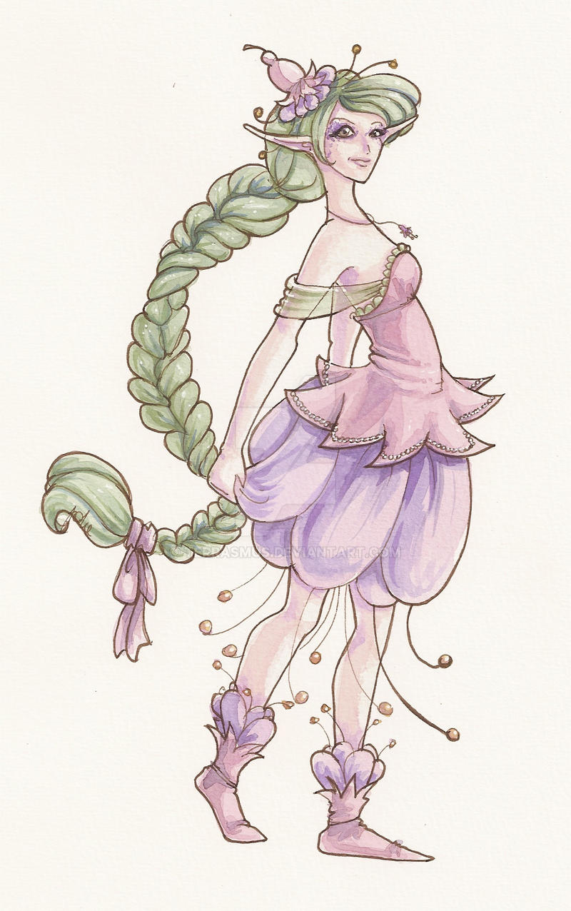 Flowers - Fuchsia - Colour