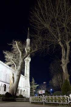 Sultanahmet Camii - I