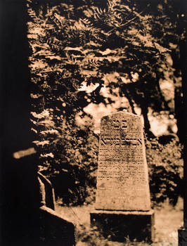 Jewish Cemetery in Mikulov 0003