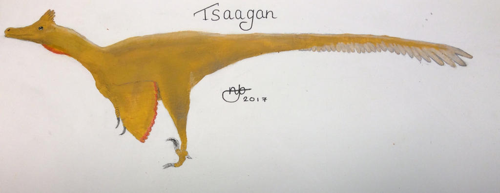 Tssaagan Raptor Size Tsaagan mangas by NickBrown27 on DeviantArt