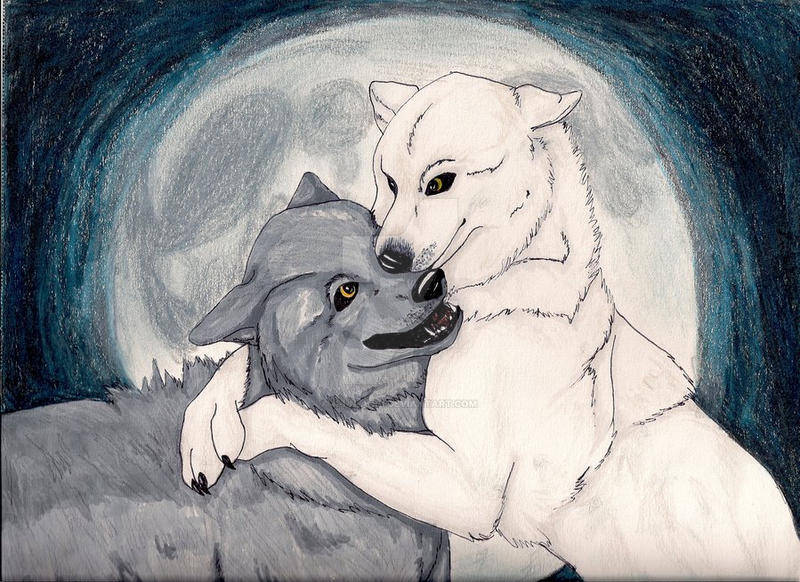 Wolfy Love