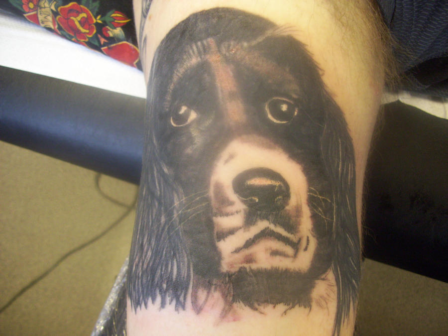 spaniel tattoo