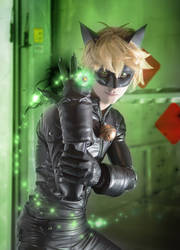 Chat Noir Cosplay - MIRACULOUS