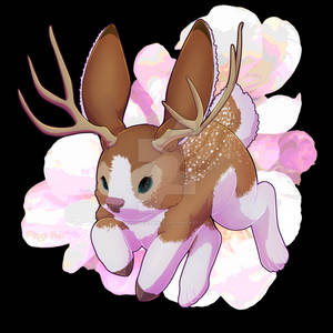 Apple Blossom Jackalope