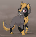 Silvar the wolf pup