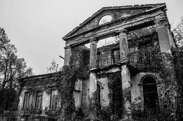 Abandoned 19th century palace 9