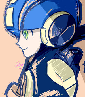 Hub Megaman exe