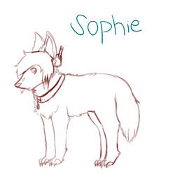 Sophie Sketch