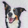 Custom watercolor pet portrait!
