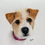 Custom pet portrait watercolor