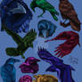 RAINBOW CROWS!!