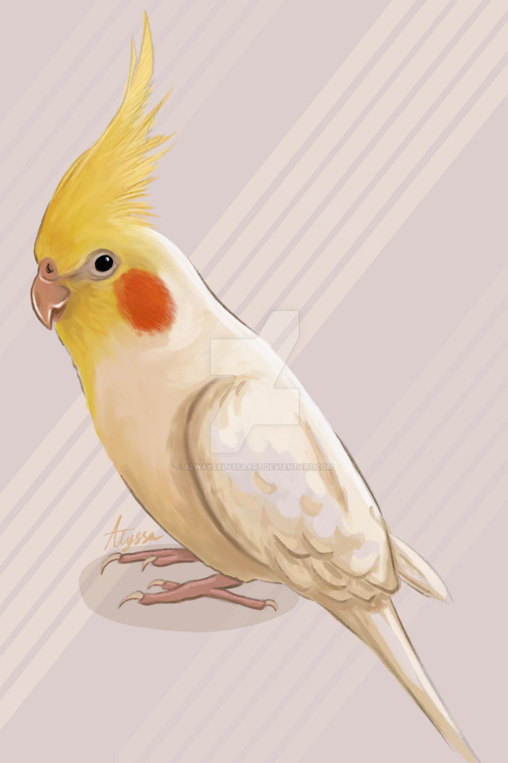 Deviantart Bird Designs Custom bird drawing!!! by AlwaysAlyssaArt on DeviantArt