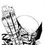 Wolvie by Finch, inks by Curiel