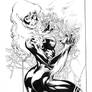Black Cat By Ivan Reis, inks by Curiel