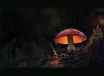 Lonely Mushroom by athana-art