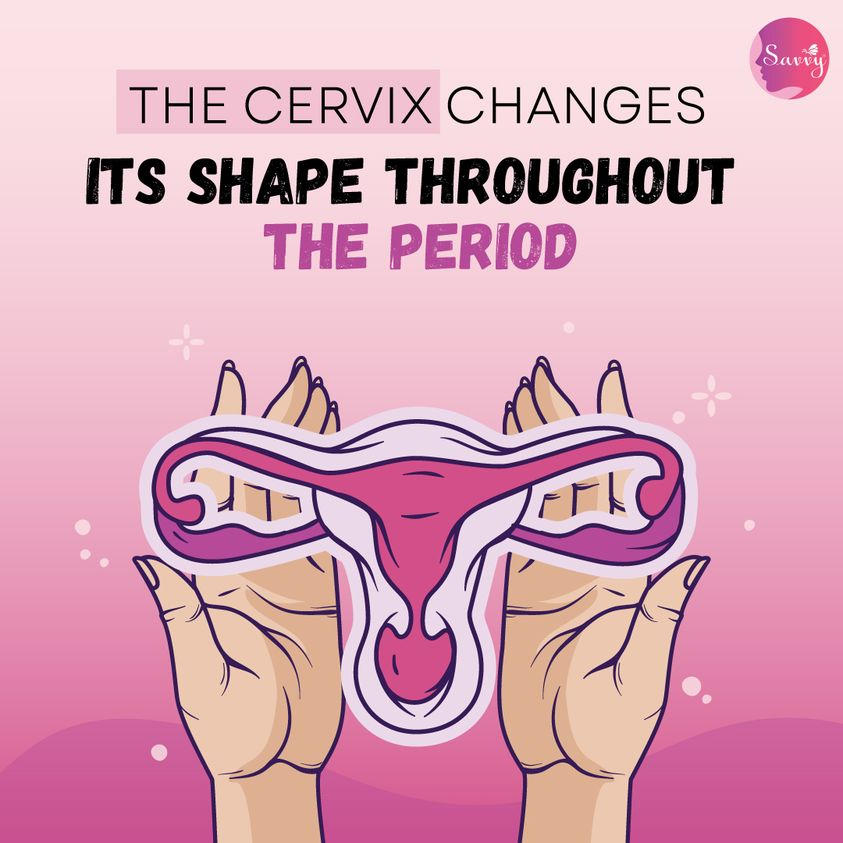 Exploring Her Discover Wonders of Menstruation: Exploring Vagina by Womenproduct on ...