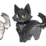 [closed] cat adopts