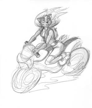 Sally rider