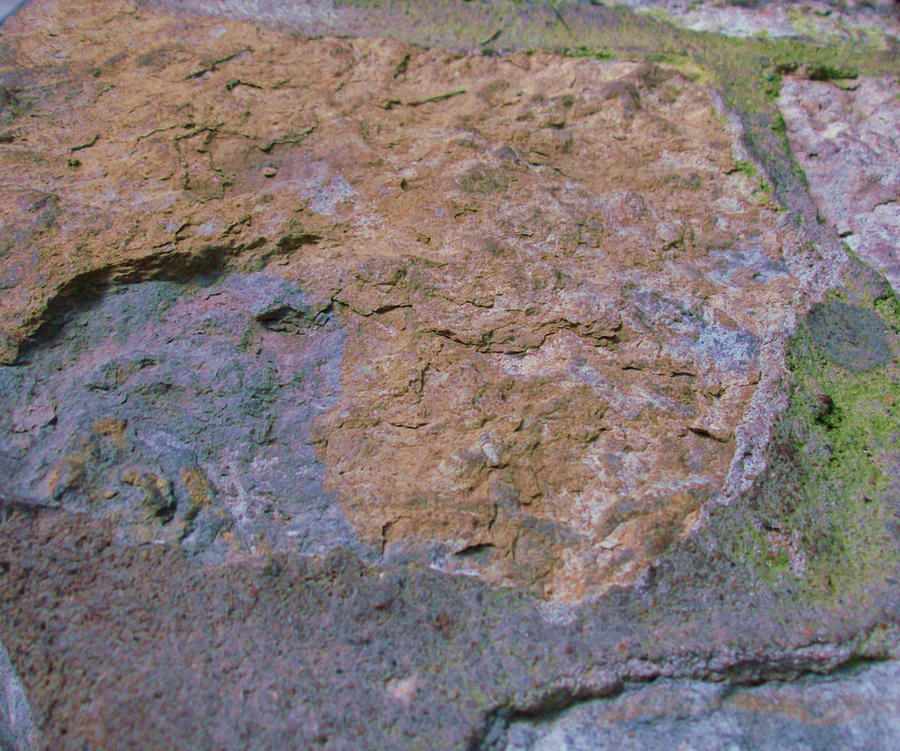 Wormy Texture Rocks Rocky Texture by sahadlich90 on DeviantArt