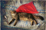 Supercat hurries to the kitchen! by yilkinson