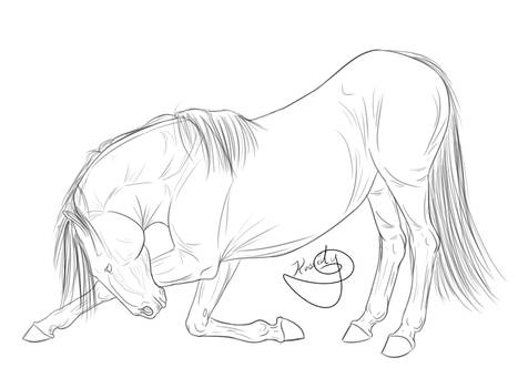 Horse bow lineart